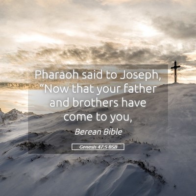 Picture 05 - Genesis 47:5 BSB - Pharaoh said to Joseph, “Now that your father - Bible Verse Picture