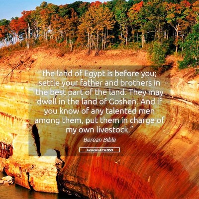 Picture 05 - Genesis 47:6 BSB - the land of Egypt is before you; settle your - Bible Verse Picture