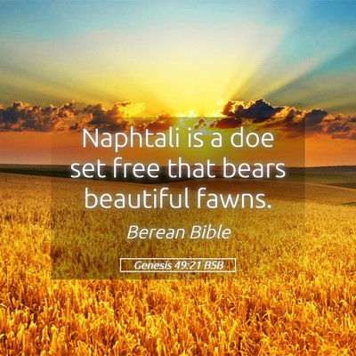 Picture 05 - Genesis 49:21 BSB - Naphtali is a doe set free that bears beautiful - Bible Verse Picture