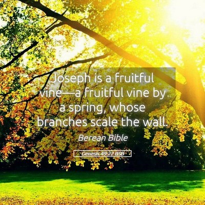 Picture 05 - Genesis 49:22 BSB - Joseph is a fruitful vine—a fruitful vine by a - Bible Verse Picture