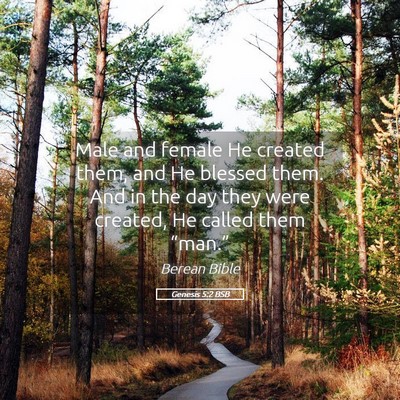 Picture 05 - Genesis 5:2 BSB - Male and female He created them, and He blessed - Bible Verse Picture