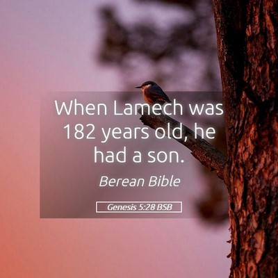 Picture 05 - Genesis 5:28 BSB - When Lamech was 182 years old, he had a - Bible Verse Picture