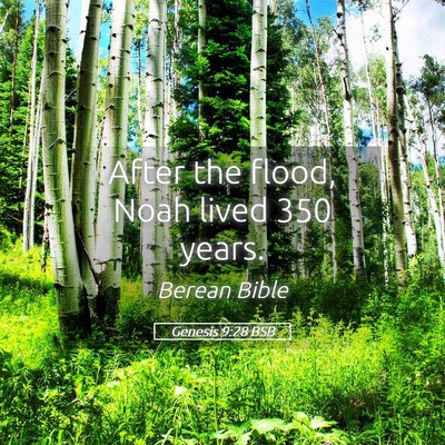 Picture 05 - Genesis 9:28 BSB - After the flood, Noah lived 350 - Bible Verse Picture