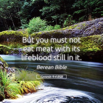 Picture 05 - Genesis 9:4 BSB - But you must not eat meat with its lifeblood - Bible Verse Picture