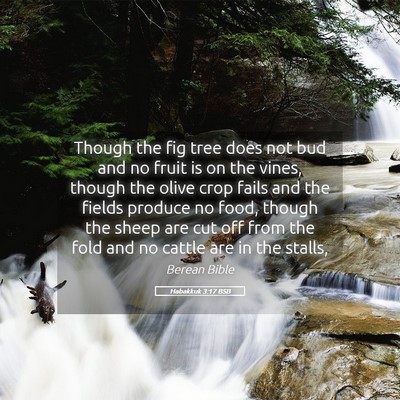Picture 05 - Habakkuk 3:17 BSB - Though the fig tree does not bud and no fruit is - Bible Verse Picture