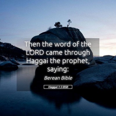 Picture 05 - Haggai 1:3 BSB - Then the word of the LORD came through Haggai the - Bible Verse Picture