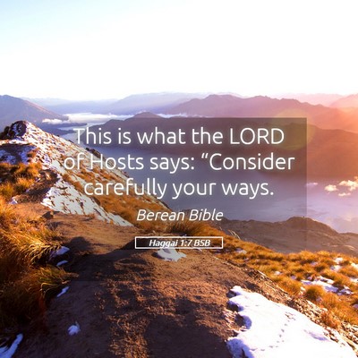Picture 05 - Haggai 1:7 BSB - This is what the LORD of Hosts says: “Consider - Bible Verse Picture