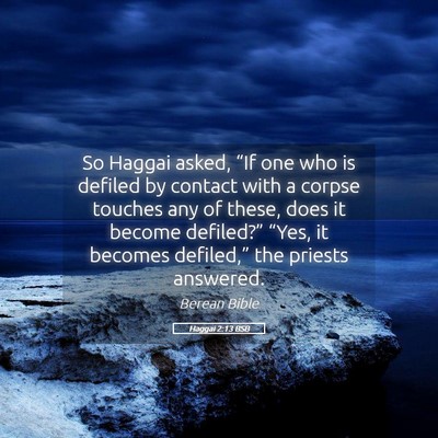 Picture 05 - Haggai 2:13 BSB - So Haggai asked, “If one who is defiled by - Bible Verse Picture