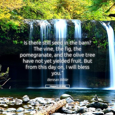 Picture 05 - Haggai 2:19 BSB - Is there still seed in the barn? The vine, the - Bible Verse Picture