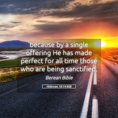 Picture 05 - Hebrews 10:14 BSB - because by a single offering He has made perfect - Bible Verse Picture