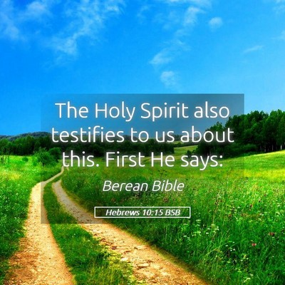 Picture 05 - Hebrews 10:15 BSB - The Holy Spirit also testifies to us about this. - Bible Verse Picture