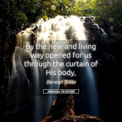 Picture 05 - Hebrews 10:20 BSB - by the new and living way opened for us through - Bible Verse Picture