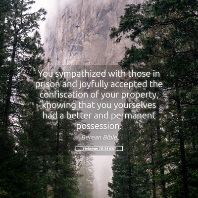 Picture 05 - Hebrews 10:34 BSB - You sympathized with those in prison and joyfully - Bible Verse Picture