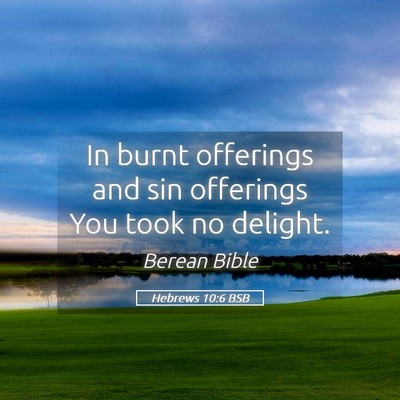 Picture 05 - Hebrews 10:6 BSB - In burnt offerings and sin offerings You took no - Bible Verse Picture