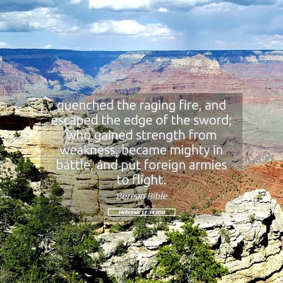 Picture 05 - Hebrews 11:34 BSB - quenched the raging fire, and escaped the edge of - Bible Verse Picture