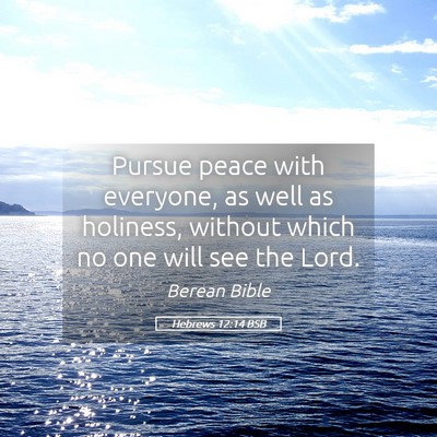 Picture 05 - Hebrews 12:14 BSB - Pursue peace with everyone, as well as holiness, - Bible Verse Picture