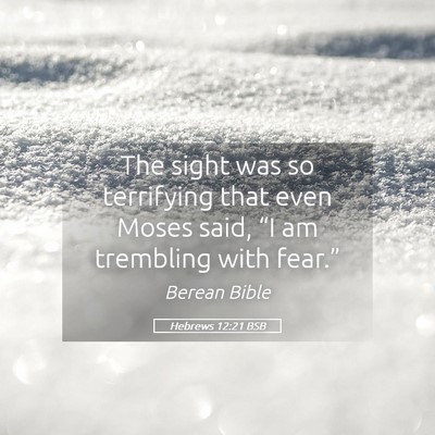 Picture 05 - Hebrews 12:21 BSB - The sight was so terrifying that even Moses said, - Bible Verse Picture