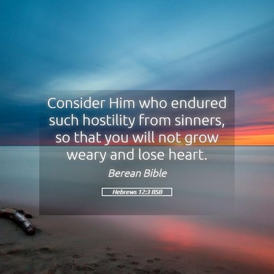 Picture 05 - Hebrews 12:3 BSB - Consider Him who endured such hostility from - Bible Verse Picture