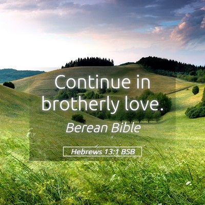 Picture 05 - Hebrews 13:1 BSB - Continue in brotherly - Bible Verse Picture