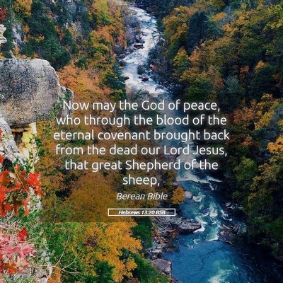 Picture 05 - Hebrews 13:20 BSB - Now may the God of peace, who through the blood - Bible Verse Picture