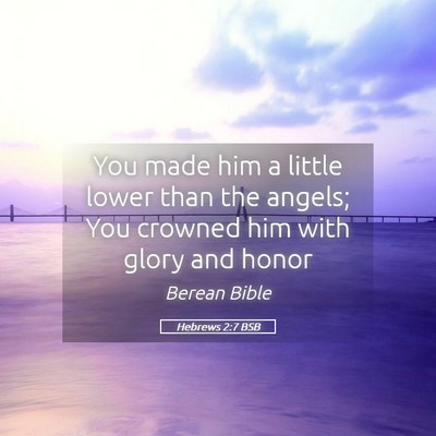 Picture 05 - Hebrews 2:7 BSB - You made him a little lower than the angels; You - Bible Verse Picture