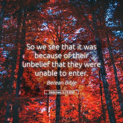 Picture 05 - Hebrews 3:19 BSB - So we see that it was because of their unbelief - Bible Verse Picture