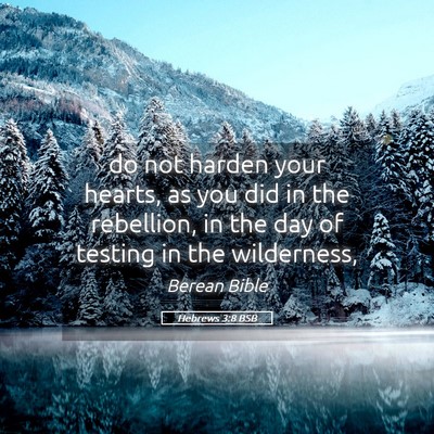 Picture 05 - Hebrews 3:8 BSB - do not harden your hearts, as you did in the - Bible Verse Picture