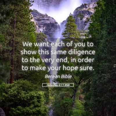 Picture 05 - Hebrews 6:11 BSB - We want each of you to show this same diligence - Bible Verse Picture