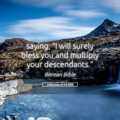 Picture 05 - Hebrews 6:14 BSB - saying, “I will surely bless you and multiply - Bible Verse Picture