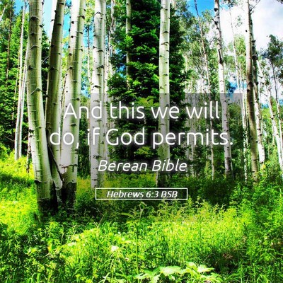 Picture 05 - Hebrews 6:3 BSB - And this we will do, if God - Bible Verse Picture