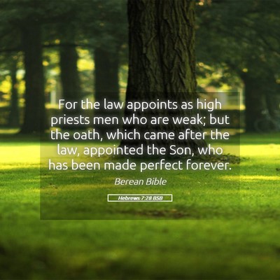 Picture 05 - Hebrews 7:28 BSB - For the law appoints as high priests men who are - Bible Verse Picture