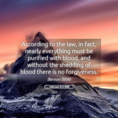 Picture 05 - Hebrews 9:22 BSB - According to the law, in fact, nearly everything - Bible Verse Picture