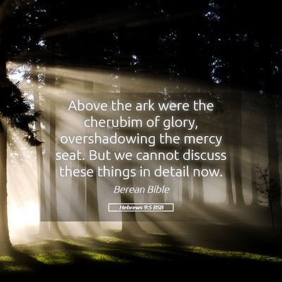 Picture 05 - Hebrews 9:5 BSB - Above the ark were the cherubim of glory, - Bible Verse Picture