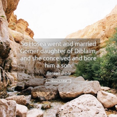 Picture 05 - Hosea 1:3 BSB - So Hosea went and married Gomer daughter of - Bible Verse Picture