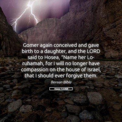 Picture 05 - Hosea 1:6 BSB - Gomer again conceived and gave birth to a - Bible Verse Picture
