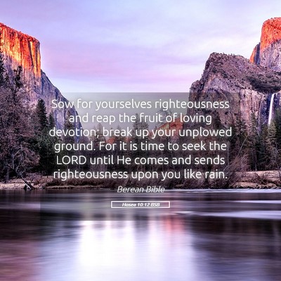 Picture 05 - Hosea 10:12 BSB - Sow for yourselves righteousness and reap the - Bible Verse Picture