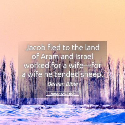 Picture 05 - Hosea 12:12 BSB - Jacob fled to the land of Aram and Israel worked - Bible Verse Picture