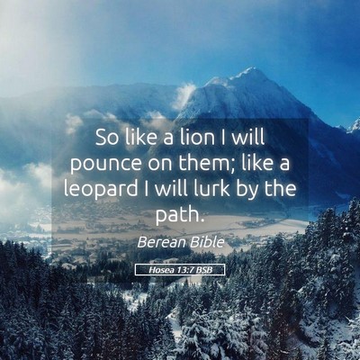 Picture 05 - Hosea 13:7 BSB - So like a lion I will pounce on them; like a - Bible Verse Picture
