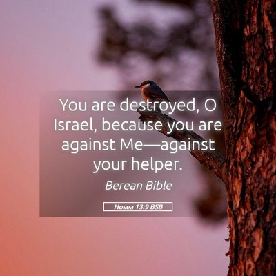 Picture 05 - Hosea 13:9 BSB - You are destroyed, O Israel, because you are - Bible Verse Picture