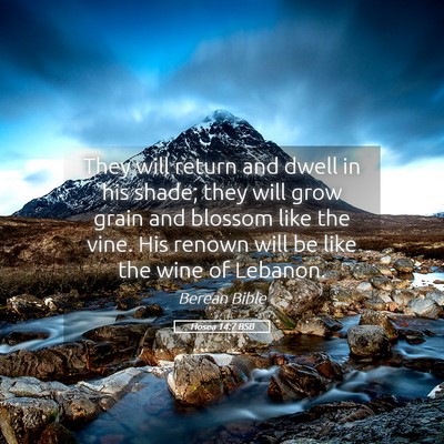Picture 05 - Hosea 14:7 BSB - They will return and dwell in his shade; they - Bible Verse Picture