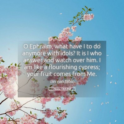 Picture 05 - Hosea 14:8 BSB - O Ephraim, what have I to do anymore with idols? - Bible Verse Picture