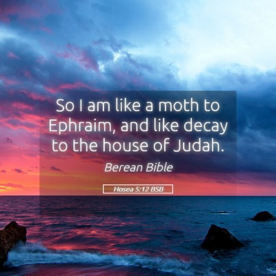 Picture 05 - Hosea 5:12 BSB - So I am like a moth to Ephraim, and like decay to - Bible Verse Picture