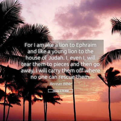 Picture 05 - Hosea 5:14 BSB - For I am like a lion to Ephraim and like a young - Bible Verse Picture