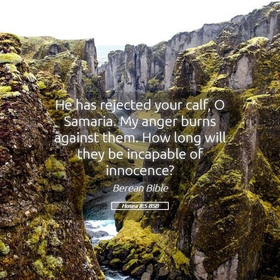 Picture 05 - Hosea 8:5 BSB - He has rejected your calf, O Samaria. My anger - Bible Verse Picture