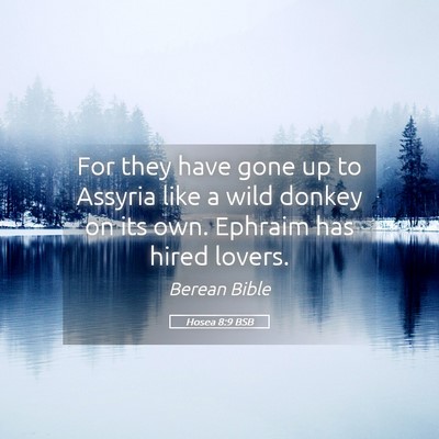 Picture 05 - Hosea 8:9 BSB - For they have gone up to Assyria like a wild - Bible Verse Picture