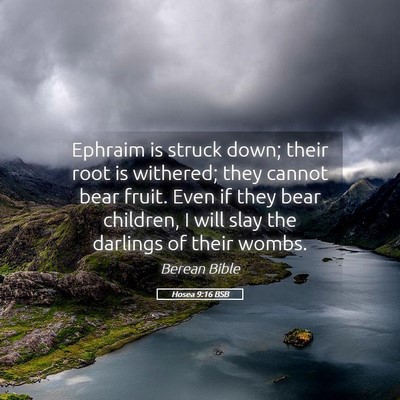 Picture 05 - Hosea 9:16 BSB - Ephraim is struck down; their root is withered; - Bible Verse Picture