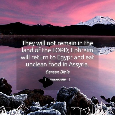Picture 05 - Hosea 9:3 BSB - They will not remain in the land of the LORD; - Bible Verse Picture