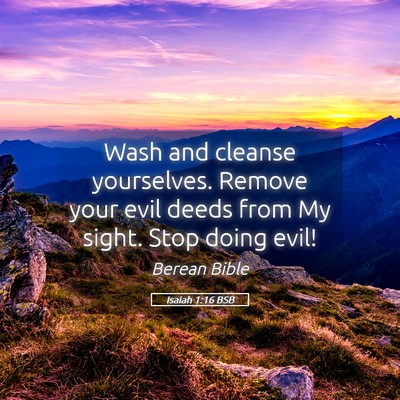 Picture 05 - Isaiah 1:16 BSB - Wash and cleanse yourselves. Remove your evil - Bible Verse Picture