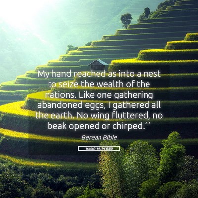 Picture 05 - Isaiah 10:14 BSB - My hand reached as into a nest to seize the - Bible Verse Picture
