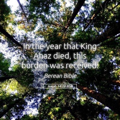 Picture 05 - Isaiah 14:28 BSB - In the year that King Ahaz died, this burden was - Bible Verse Picture